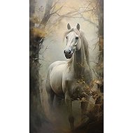 Norimpex Bělouš v mlze 30 × 40 cm - Diamond Painting