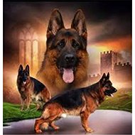 Norimpex German Shepherd Pack 30 × 40 cm - Diamond Painting