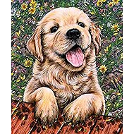 Norimpex Štěně labradora 30 × 40 cm - Diamond Painting