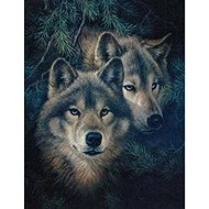 Norimpex Vlci v borovicích 30 × 40 cm - Diamond Painting