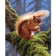 Norimpex Squirrel on a branch 30 × 40 cm - Diamond Painting