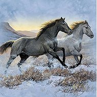 Norimpex Koně 30 × 40 cm - Diamond Painting
