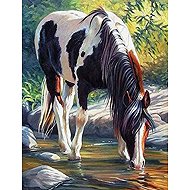Norimpex Horse in the river 30 × 40 cm - Diamond Painting
