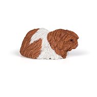 PAPO Guinea pigs - Figure