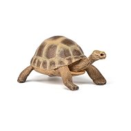 PAPO Hermann's tortoise - Figure