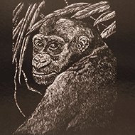 EDEN Scratch-off picture silver A5 gorilla - Scratch Pictures