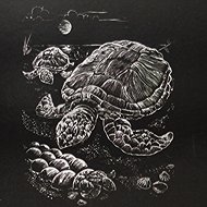 EDEN Scratch-off picture silver A5 turtles - Scratch Pictures