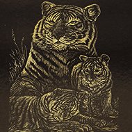 EDEN Scratch-off picture gold A5 Tigers - Scratch Pictures