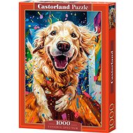CASTORLAND Puzzle Euphoric Spectrum 1000 pieces - Jigsaw Puzzle