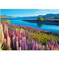 CASTORLAND Puzzle Lake Tekapo, New Zealand 500 pieces - Jigsaw Puzzle