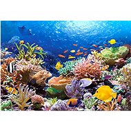 CASTORLAND Coral Reef Puzzle 1000 pieces - Jigsaw Puzzle