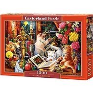 CASTORLAND Puzzle Kittens Magicians 1000 pieces - Jigsaw Puzzle