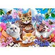 CASTORLAND Puzzle Kittens with flowers 500 pieces - Jigsaw Puzzle