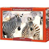 CASTORLAND Puzzle Young Zebras 1000 pieces - Jigsaw Puzzle