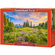 CASTORLAND Puzzle Morning Flowers 2000 pieces - Jigsaw Puzzle