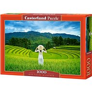 CASTORLAND Rice Fields in Vietnam Puzzle 1000 pieces - Jigsaw Puzzle