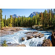 CASTORLAND Puzzle Athabasca River, Jasper National Park 1500 pieces - Jigsaw Puzzle