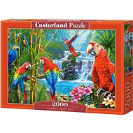 CASTORLAND Parrot Encounter Puzzle 2000 pieces - Jigsaw Puzzle