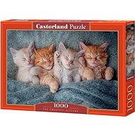CASTORLAND Puzzle Sweet Kittens 1000 pieces - Jigsaw Puzzle