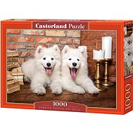 CASTORLAND Puzzle Puppies Samoyed 1000 pieces - Jigsaw Puzzle