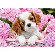 CASTORLAND Puzzle Puppy in pink flowers 500 pieces - Jigsaw Puzzle