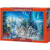 CASTORLAND Puzzle Call of the Moon 1500 pieces - Jigsaw Puzzle