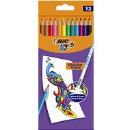 BIC Eraseable 12 Colours - Coloured Pencils