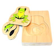 The life cycle of a frog - Puzzle
