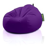 Turtle Bean Bag, Purple - Bean Bag