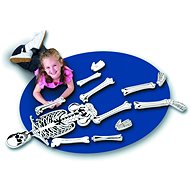 Foam Puzzle Skeleton - Foam Puzzle
