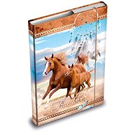 Folders for Notebooks MFP Box A5 Horse - Desky na sešity