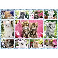 Schmidt Puzzle Kittens 100 pieces - Jigsaw Puzzle