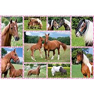 Schmidt Puzzle Beautiful Horses 150 pieces - Jigsaw Puzzle