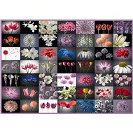 Schmidt Puzzle Floral greeting 2000 pieces - Jigsaw Puzzle