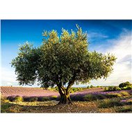 Schmidt Puzzle Olive Tree, Provence 1000 pieces - Jigsaw Puzzle