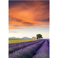 Schmidt Puzzle Lavender Fields, Provence 500 pieces - Jigsaw Puzzle