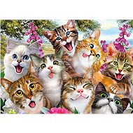 Schmidt Puzzle Cat Selfie 500 pieces - Jigsaw Puzzle