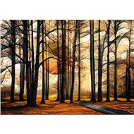 Schmidt Puzzle Magic Forest 1000 pieces - Jigsaw Puzzle