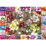 Schmidt Puzzle Orchids 1000 pieces - Jigsaw Puzzle