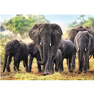 Trefl Puzzle African Elephants 1000 pieces - Jigsaw Puzzle