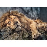 Trefl Puzzle Sleeping Lion 1000 pieces - Jigsaw Puzzle