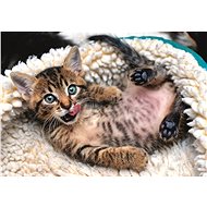 Trefl Puzzle Merry kitten 1000 pieces - Jigsaw Puzzle