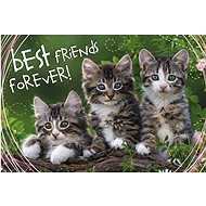 Trefl Puzzle Cat Friends 260 pieces - Jigsaw Puzzle