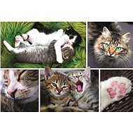 Trefl Puzzle Cat Affair 1500 pieces - Jigsaw Puzzle