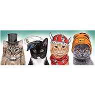 Trefl Panoramic Puzzle Soft Team 500 pieces - Jigsaw Puzzle