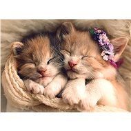Trefl Puzzle Sleeping Kittens 500 pieces - Jigsaw Puzzle