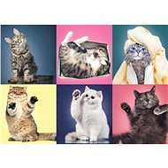 Trefl Puzzle Expanding Kittens 500 pieces - Jigsaw Puzzle