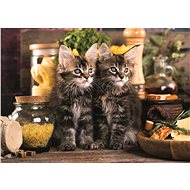 Trefl Puzzle Cats 500 pieces - Jigsaw Puzzle