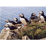 Cobble Hill Puzzle Bright Day 1000 pieces - Jigsaw Puzzle