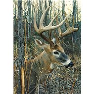 Cobble Hill Puzzle White-tailed Deer 1000 pieces - Jigsaw Puzzle